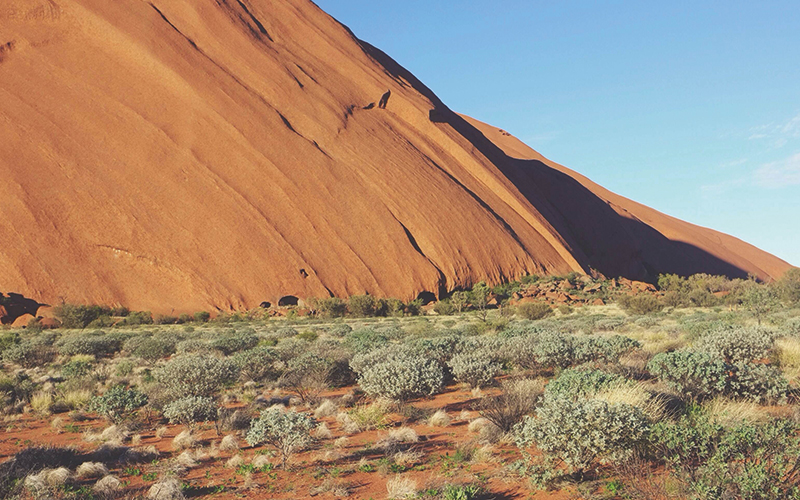 Australian desert