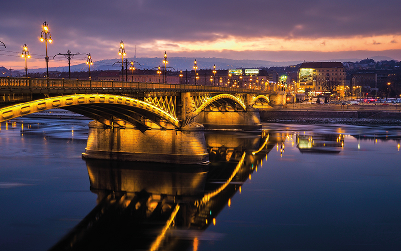 Budapest bridge at night