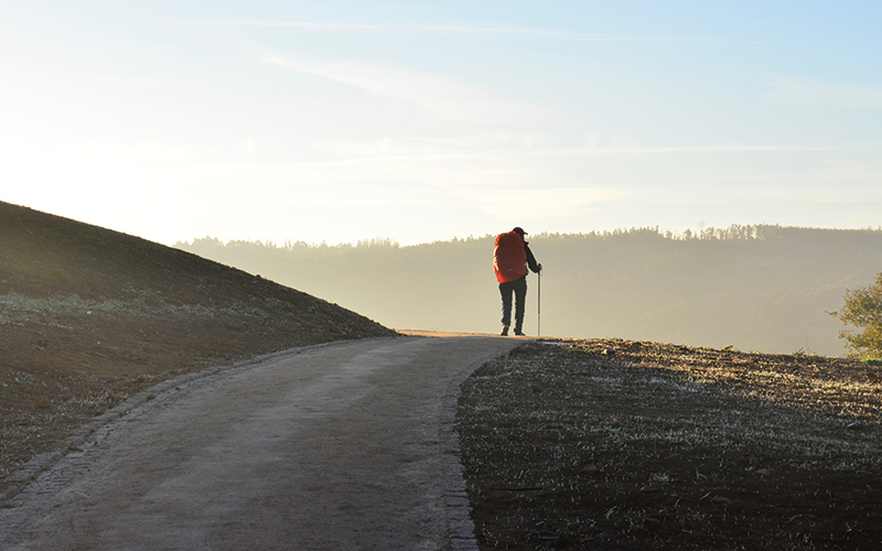 Man hiking on road