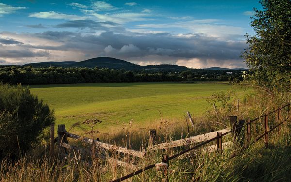 Sunny countryside