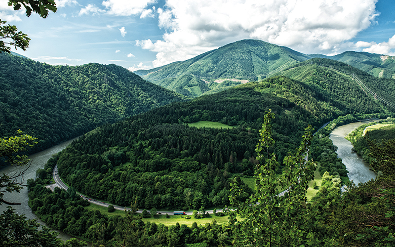 Circular road on the outskirts of the forest