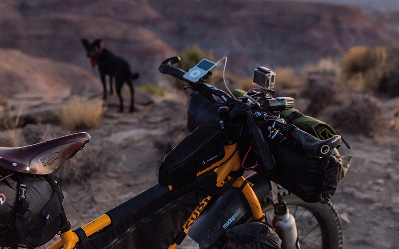 Bike and dog