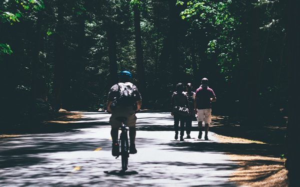 Cycling in the woods