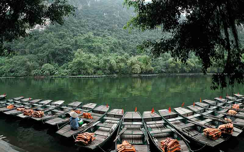 Boats lined up in the water