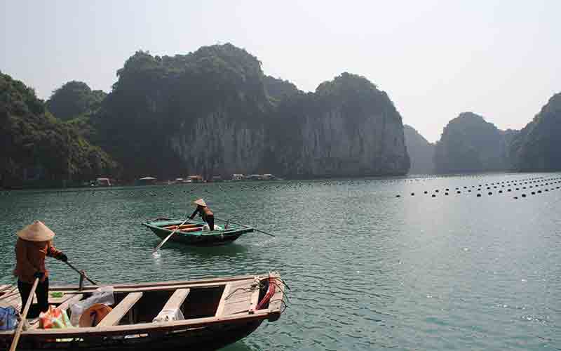 People paddling boats