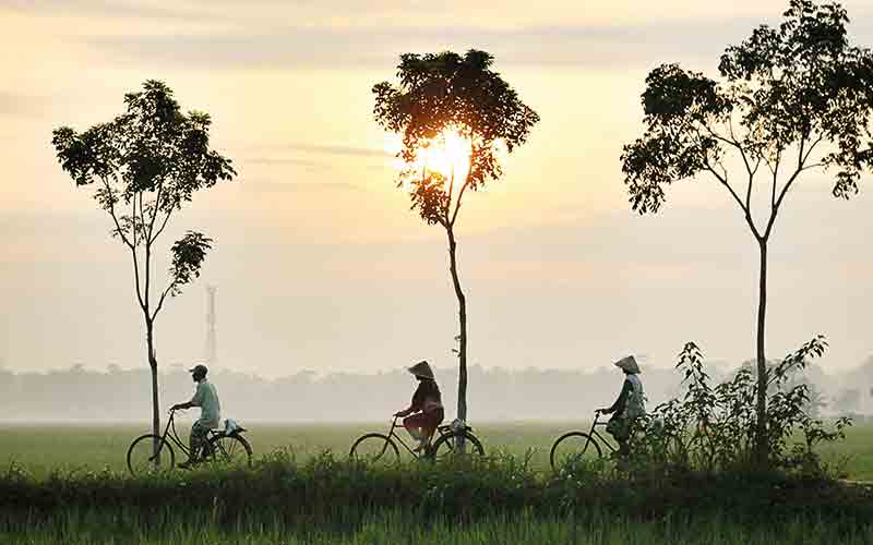 People cycling in the sunset