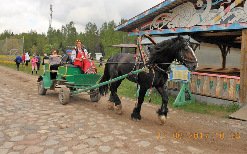 Horse pulling carriage with people on