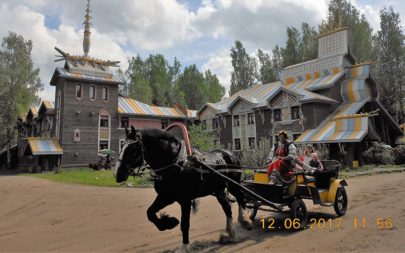 Black horse pulling a carriage