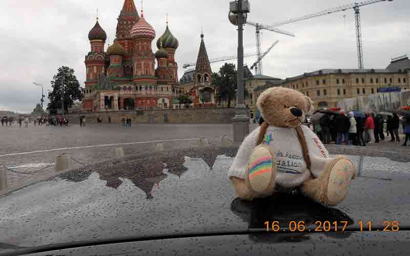 Rainbow Bear on car