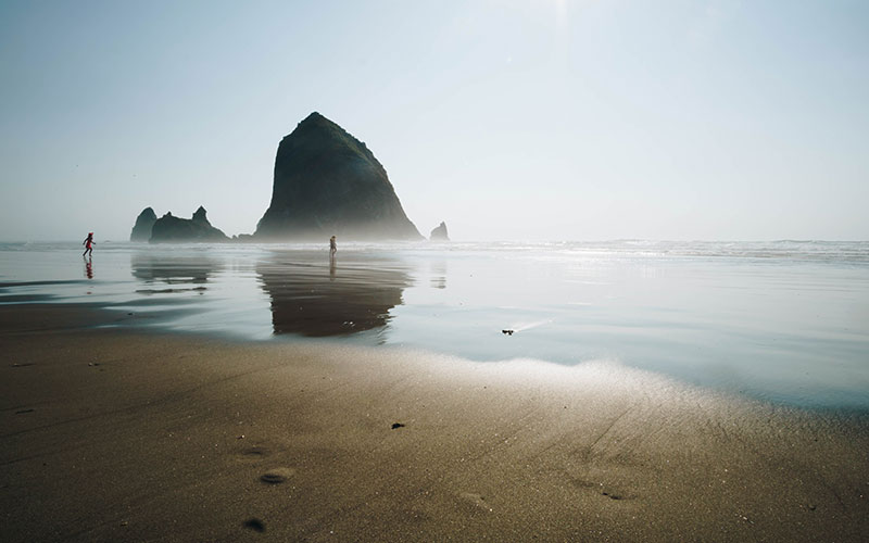 Shark fin rocks on beach