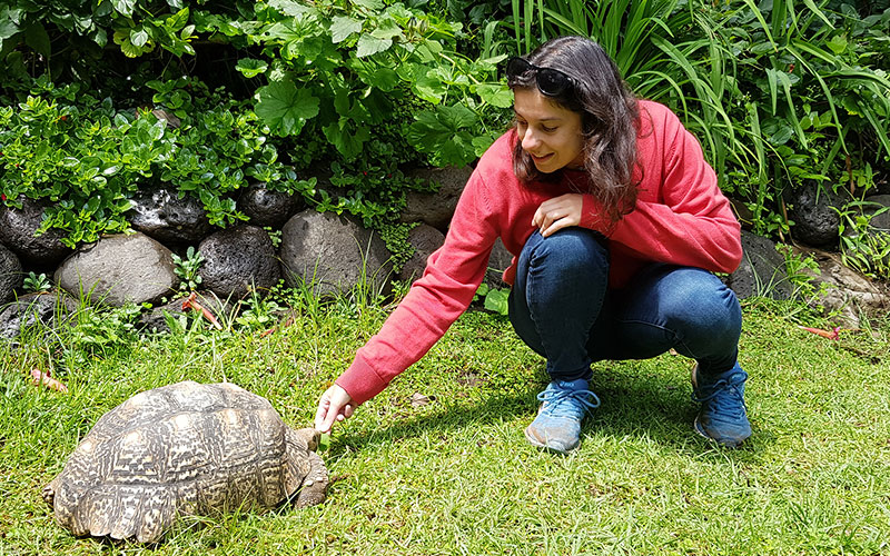 Girl feeding tortoise