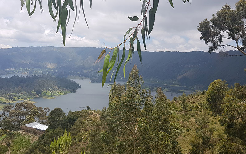 Ethiopian lake and trees