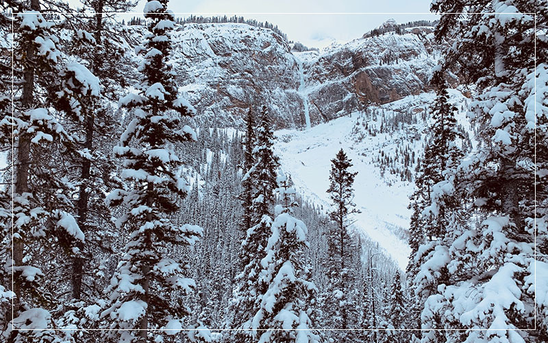 Snowy mountains and trees