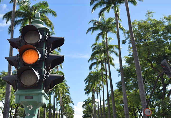 Everything you need to know about the traffic light system